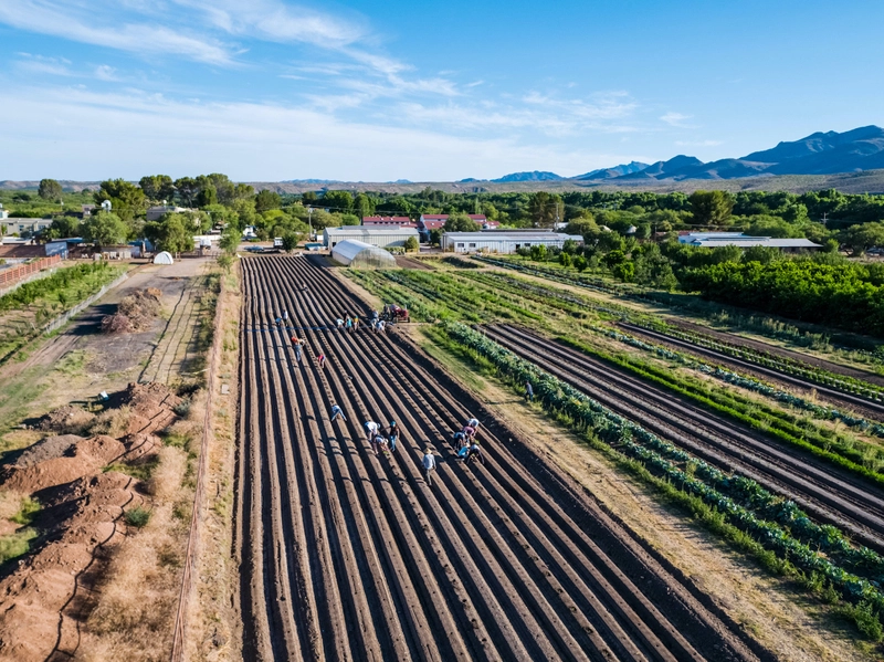 Aerial shot of the Avalon EcoVillage campus - Avalon EcoVillage