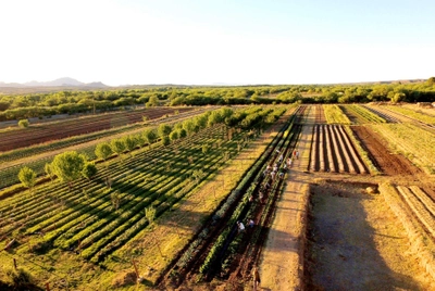 View of fields at avalon gardens.